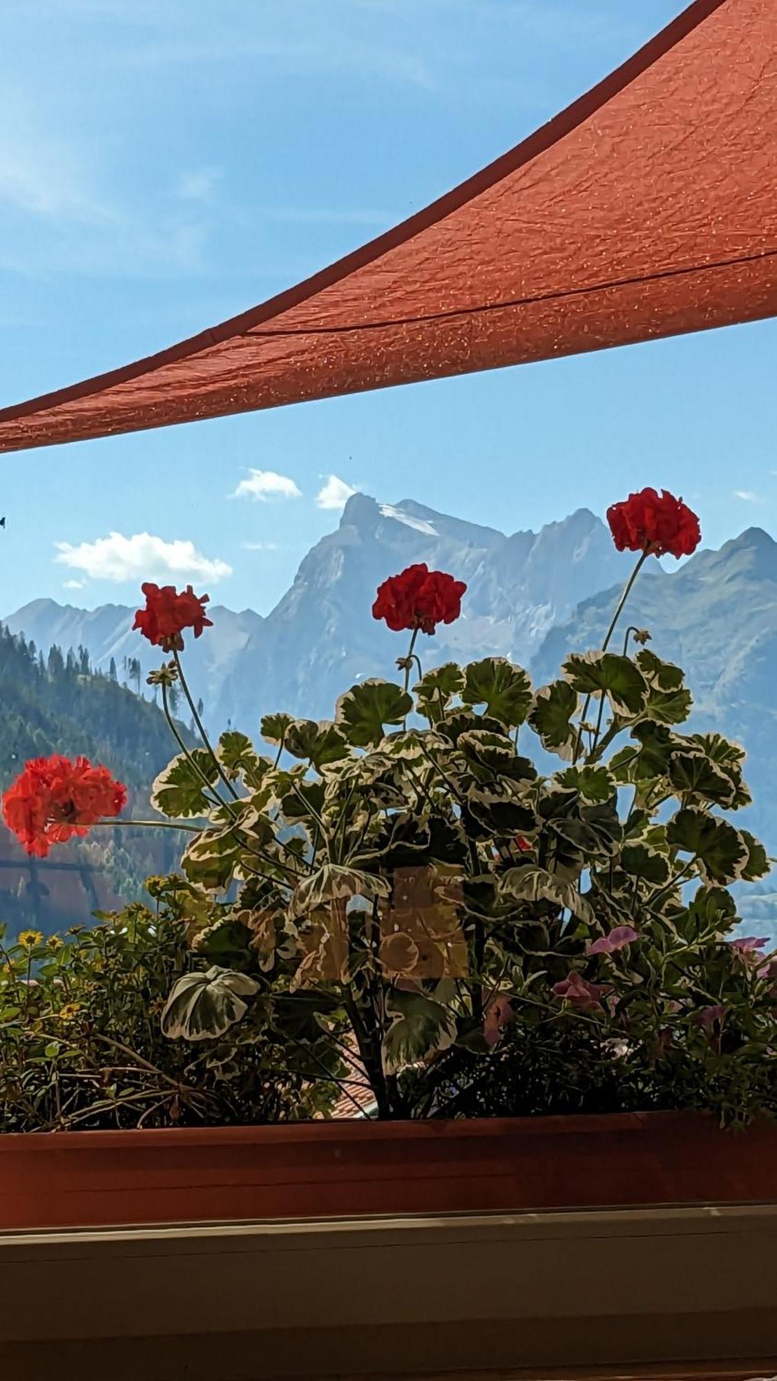 Hotel Ca' Del Bosco Selva di Cadore Exterior photo