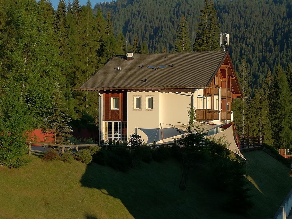 Hotel Ca' Del Bosco Selva di Cadore Exterior photo